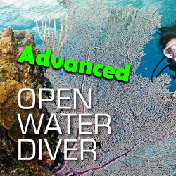 Adv. Open Water Diver